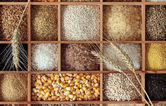 Different Types of Grains for Whisky Making